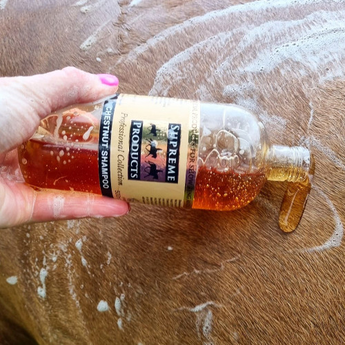 Supreme Products Chestnut Shampoo - 500ml