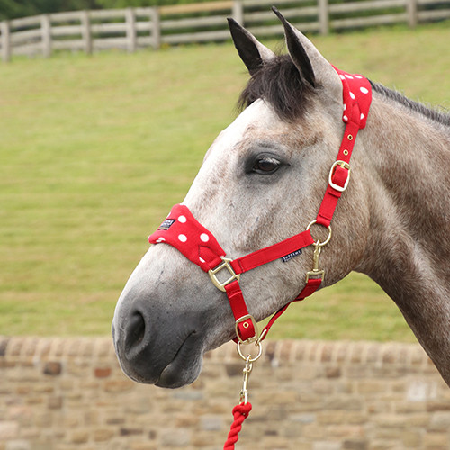 Supreme Products Dotty Fleece Head Collar & Lead Rope - Rosette Red - Pony