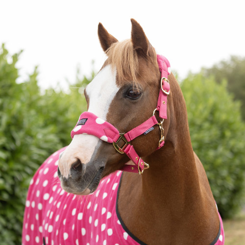 Supreme Products Dotty Fleece Head Collar & Lead Rope - Paradise Pink - Cob