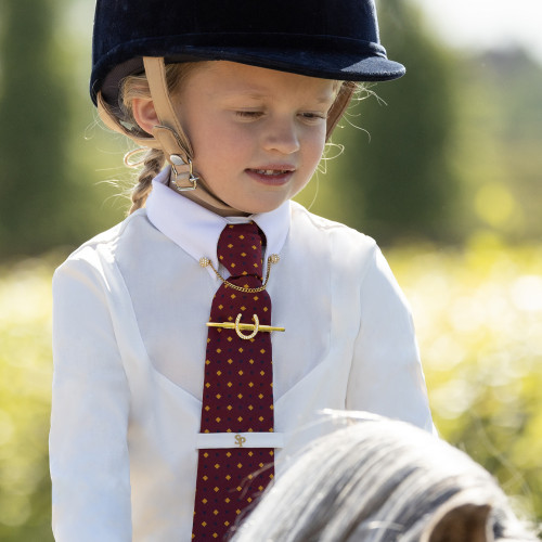 Supreme Products Glitz & Glam Horse Shoe Tie Pin - Gold/Silver