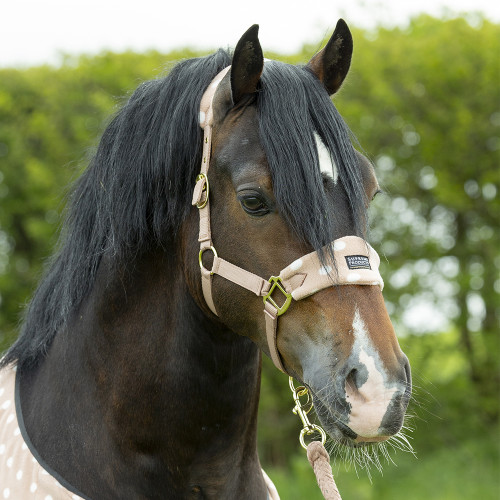Supreme Products Dotty Fleece Head Collar & Lead Rope - Luxurious Latte - Cob