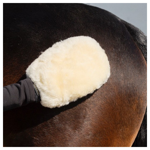 Supreme Products Sheepskin Perfection Grooming Mitt - Natural