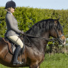 Supreme Products Champion Show Hunter Rider Breeches