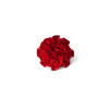 Supreme Products Class Act Carnation