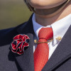 Supreme Products Class Act Royal Carnation