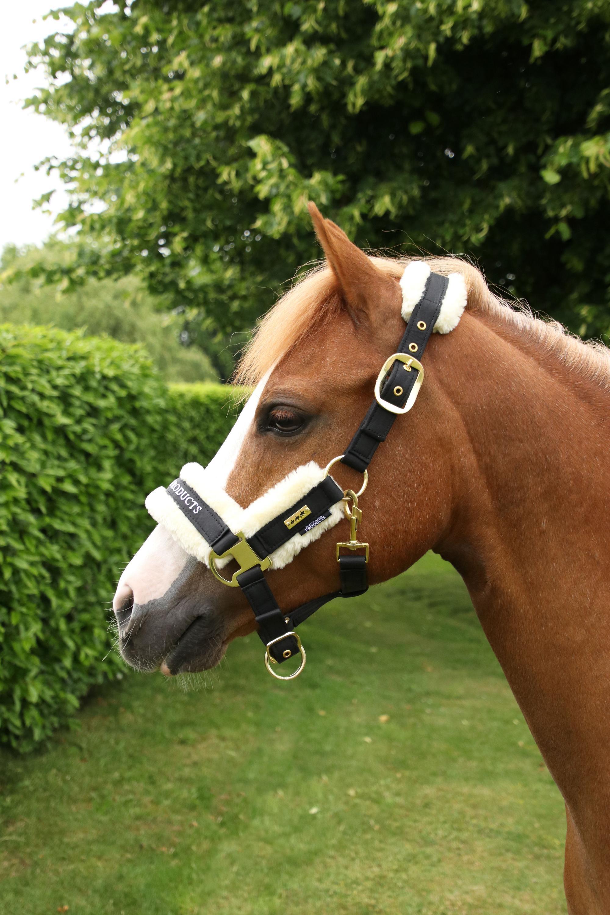 Head Collars & Leadropes